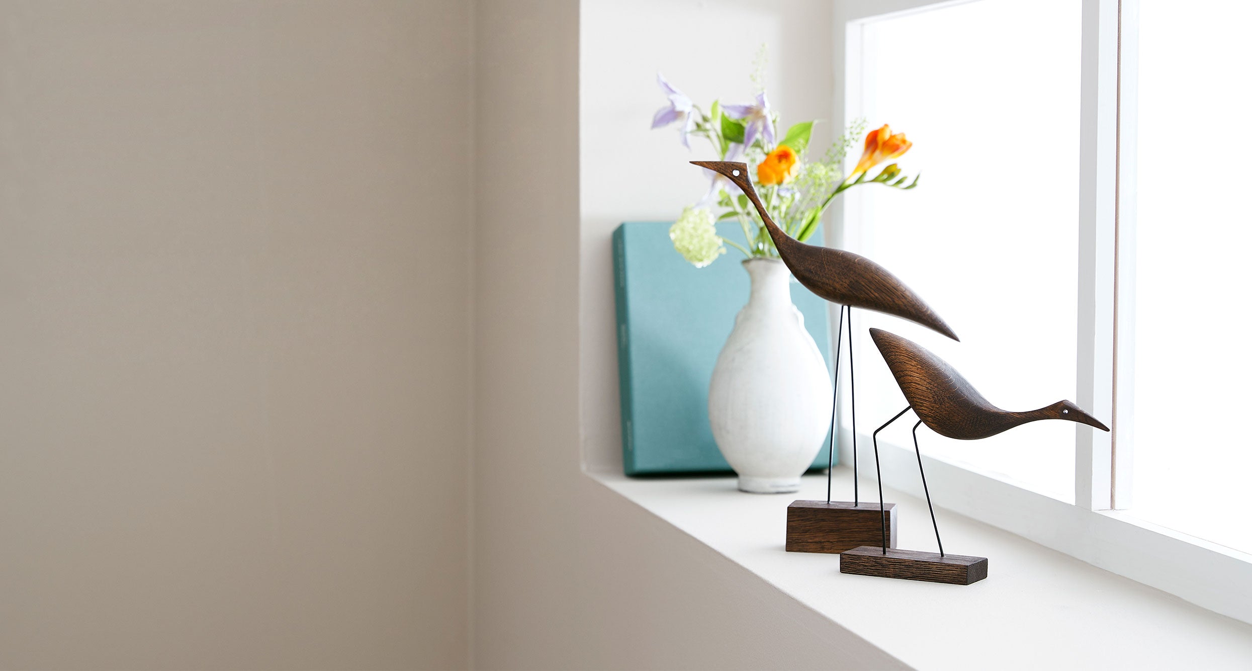 collection-image