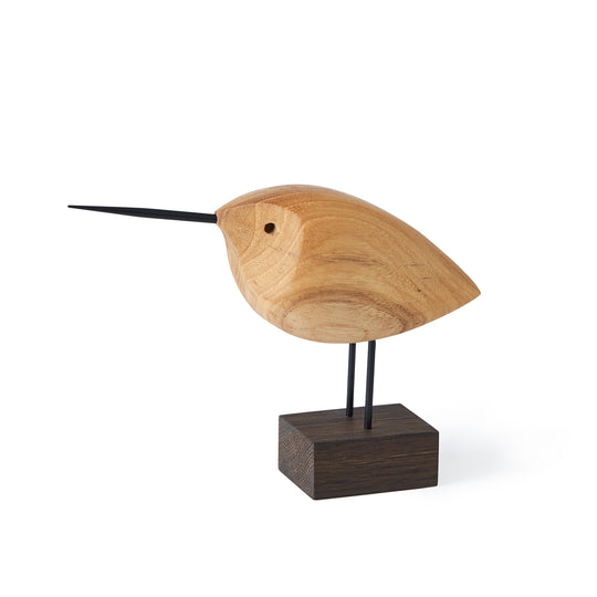 Beak Bird